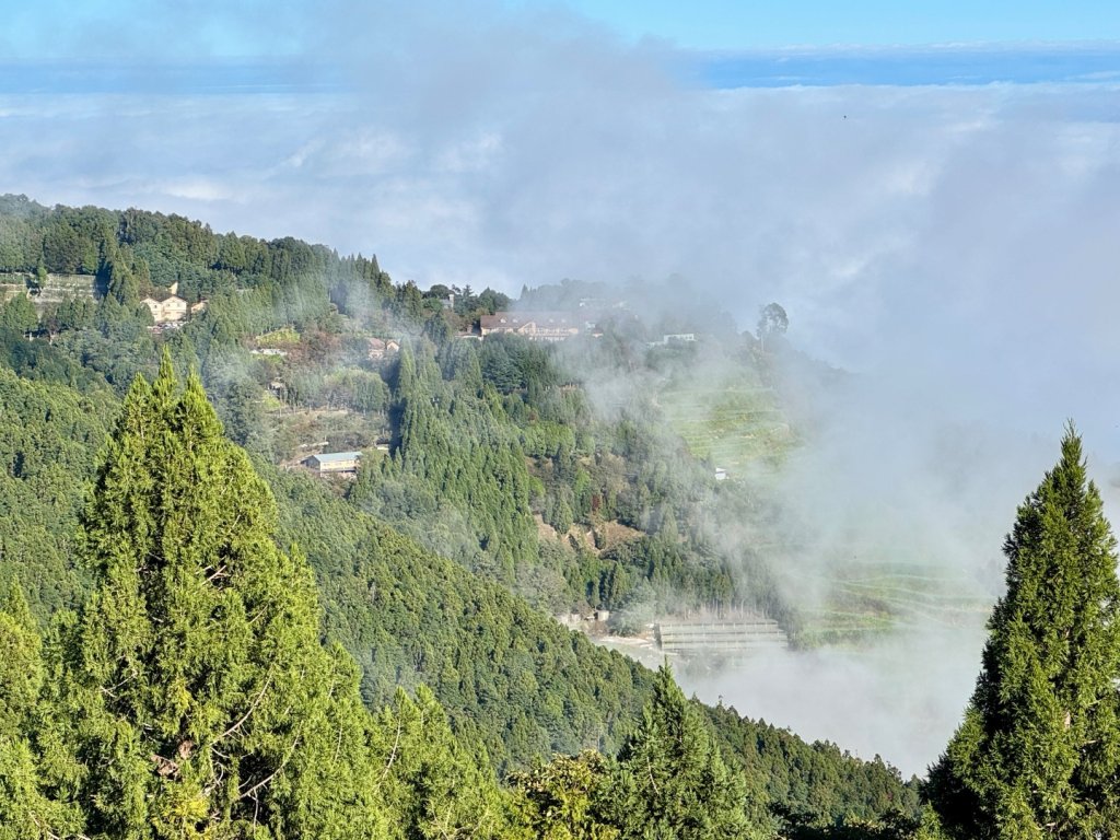 觀霧-榛山步道_2925989