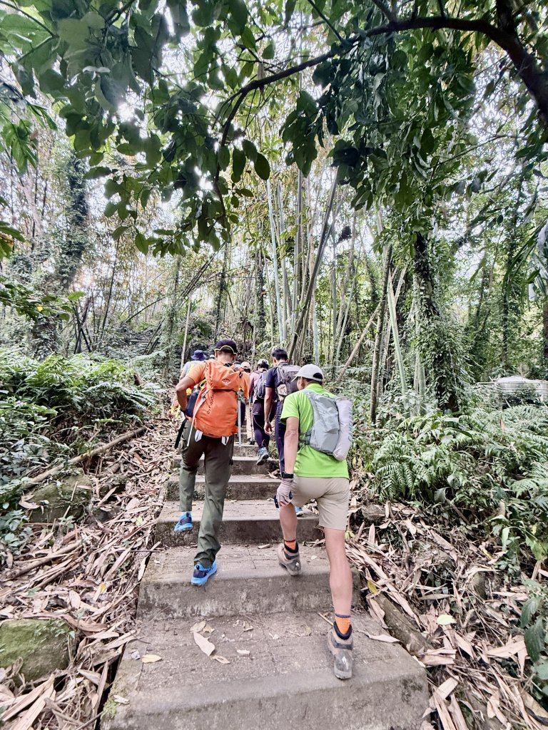 二尖.大尖山悠遊--好友再聚的茶園餘韻   2026.01.18_2985459