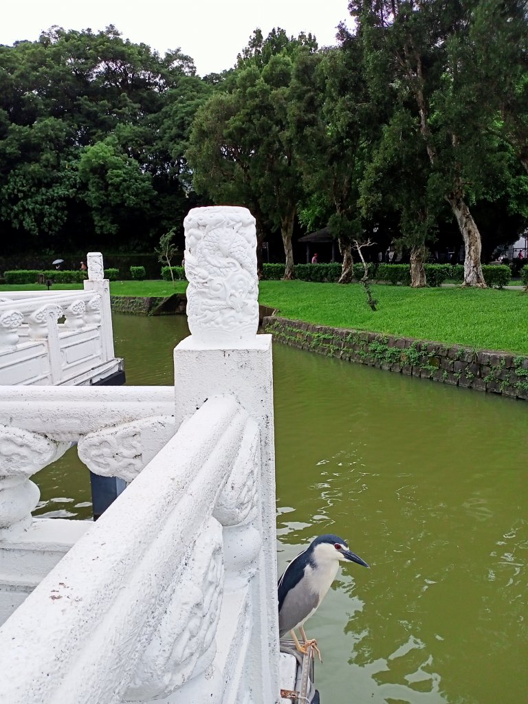 碧波蕩漾的碧湖公園環湖步道_1731906
