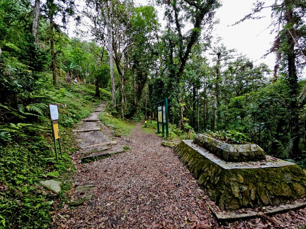 瓦拉米步道(登山口至佳心段)-(花蓮)臺灣百大必訪步道_2789426