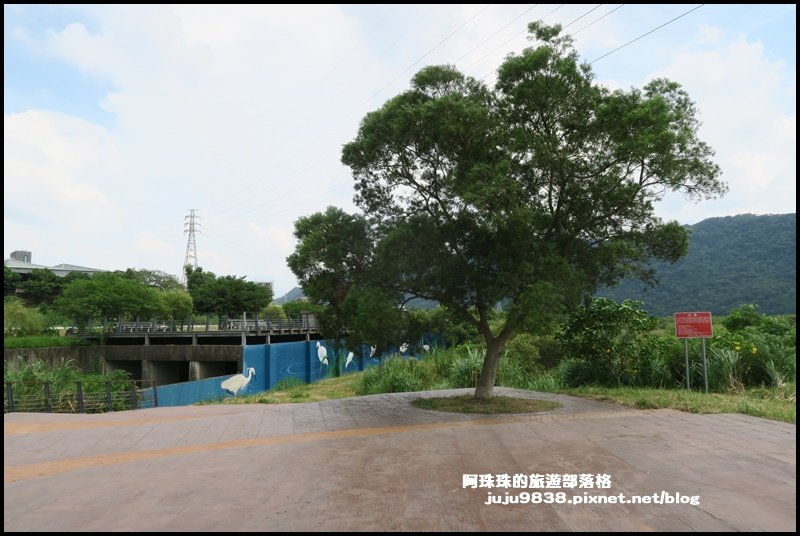 大溪左岸自行車道｜中新里韭菜花海超浪漫｜_1101569