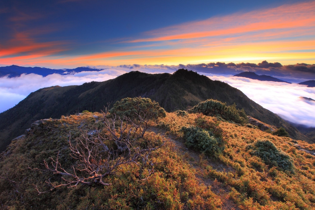 南雙頭山_31287