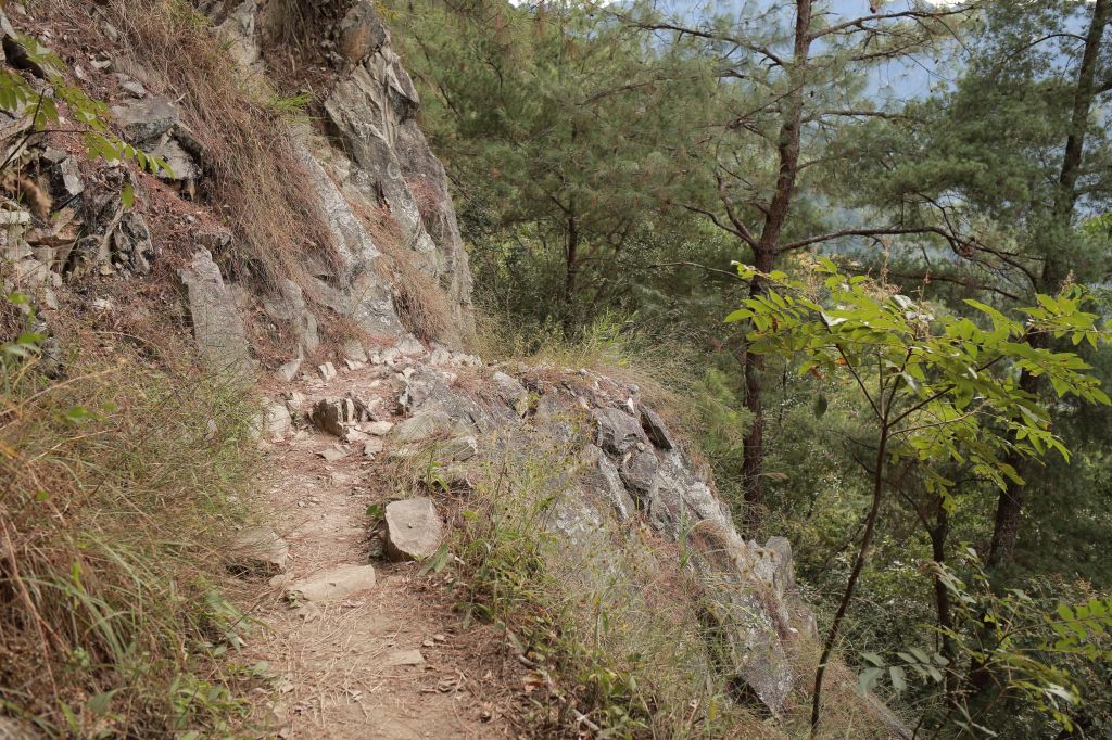 谷關七雄：東卯山_187650