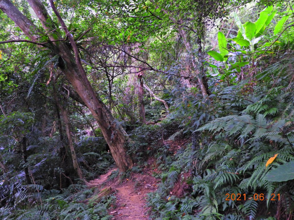 桃園 大溪 溪洲山_1417923