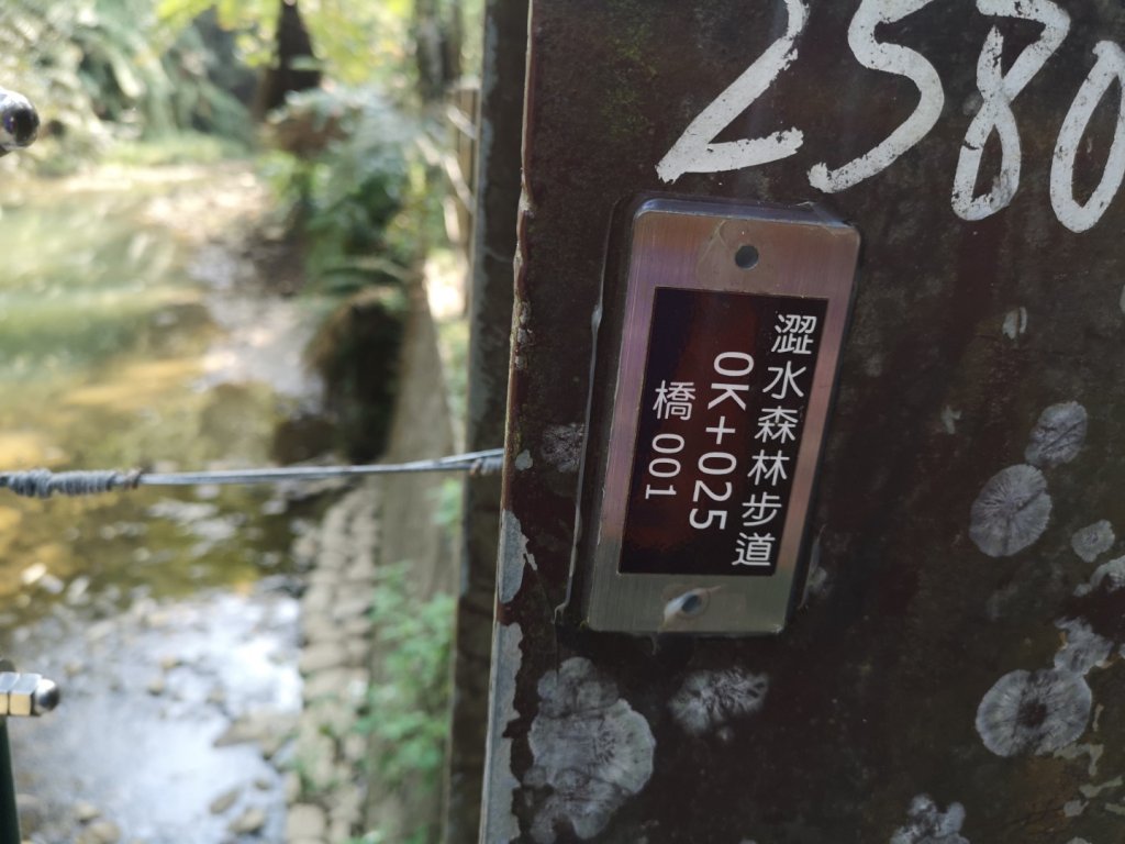 南投魚池澀水森林步道_1631396