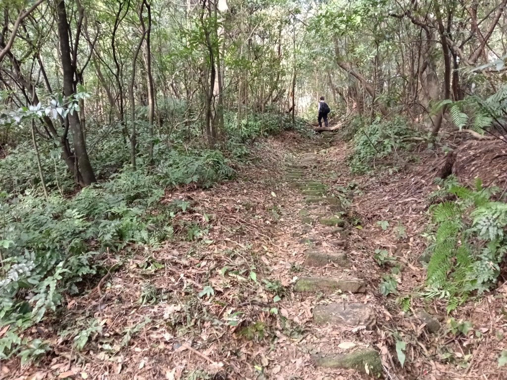 基隆市三層山+湳子大崙+淡基橫斷古道+面桶寮土地公_2982235