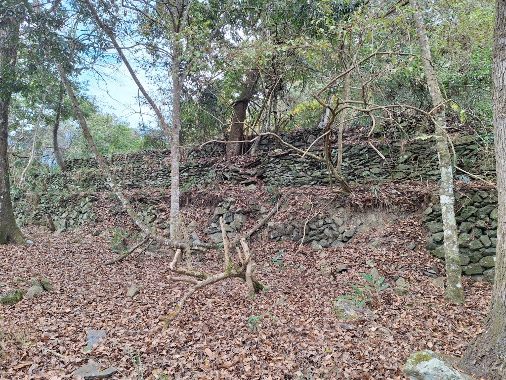 雪見駐在所+雪見山20251225封面圖