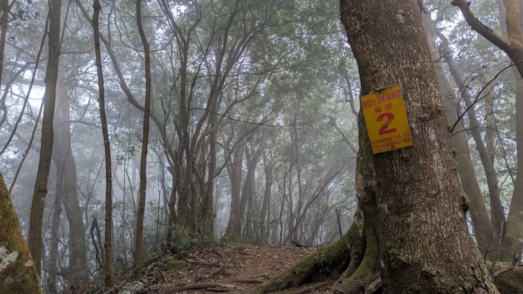 橫龍山、橫龍古道_2682969