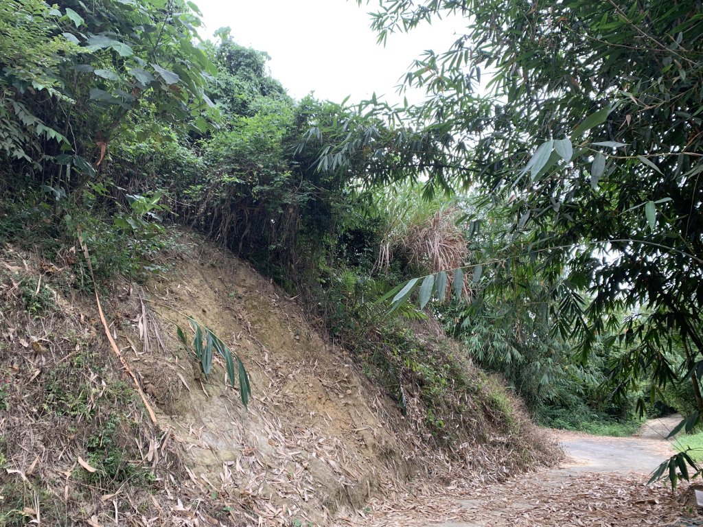 20251024台南邦埤山-三崁山_2925700