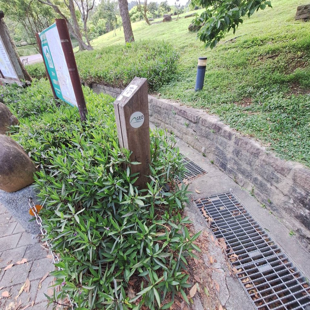 2025臺北大縱走第四段-風櫃口至大湖公園完成_2761177