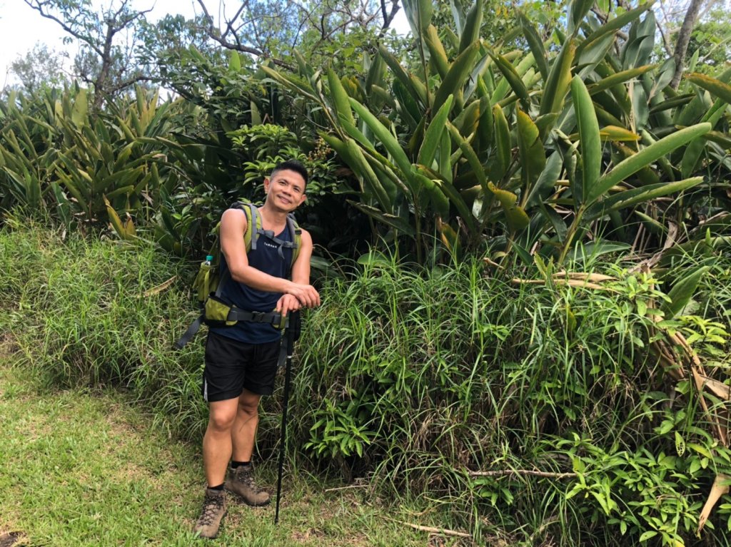 過山古道.阿眉山.觀海步道【上山下海玩遍_655359