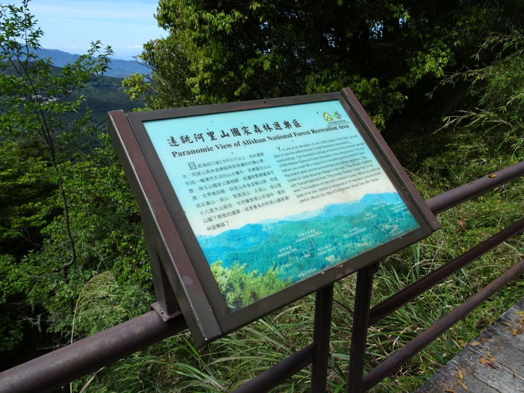 台灣小百岳第59座-嘉義阿里山-大塔山_327455
