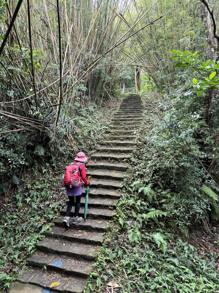 大山背山+騎龍山O繞2025.12.28_2979474
