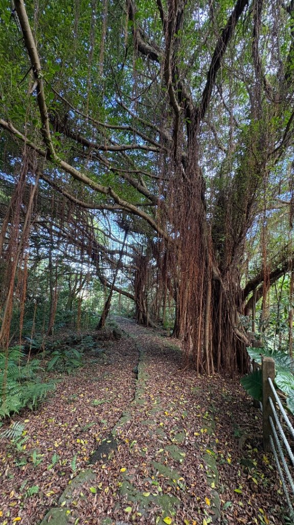漫遊陽明山_2952000