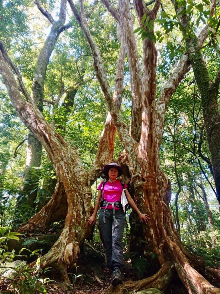 貴妃山、那結山O走_1478372