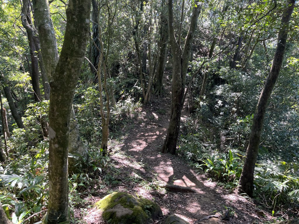 [微笑山線_第九段] 2025_0914 二格山系_天王峰_2889536