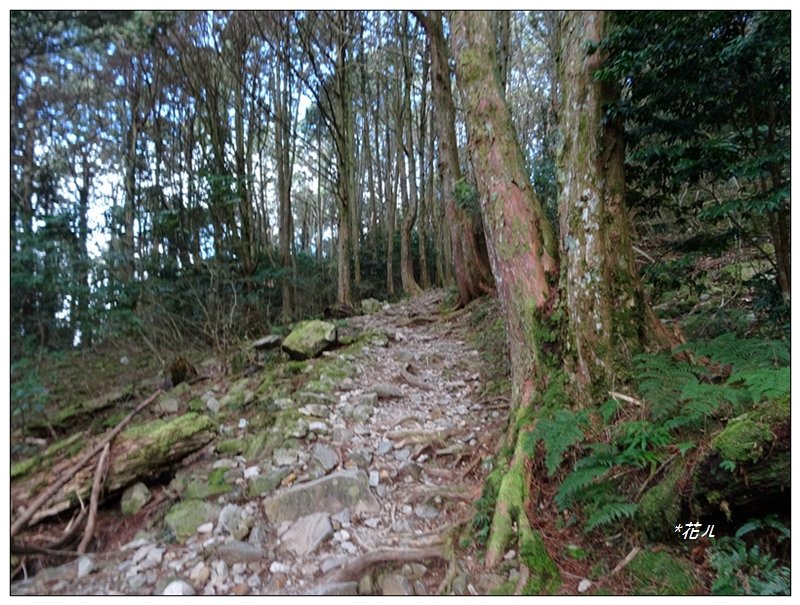 稍來山步道(小百岳)_1619836