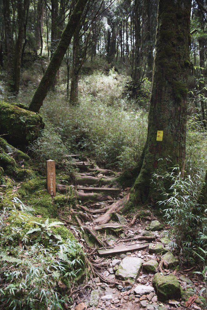 八仙山-夏日避暑好所在_631705