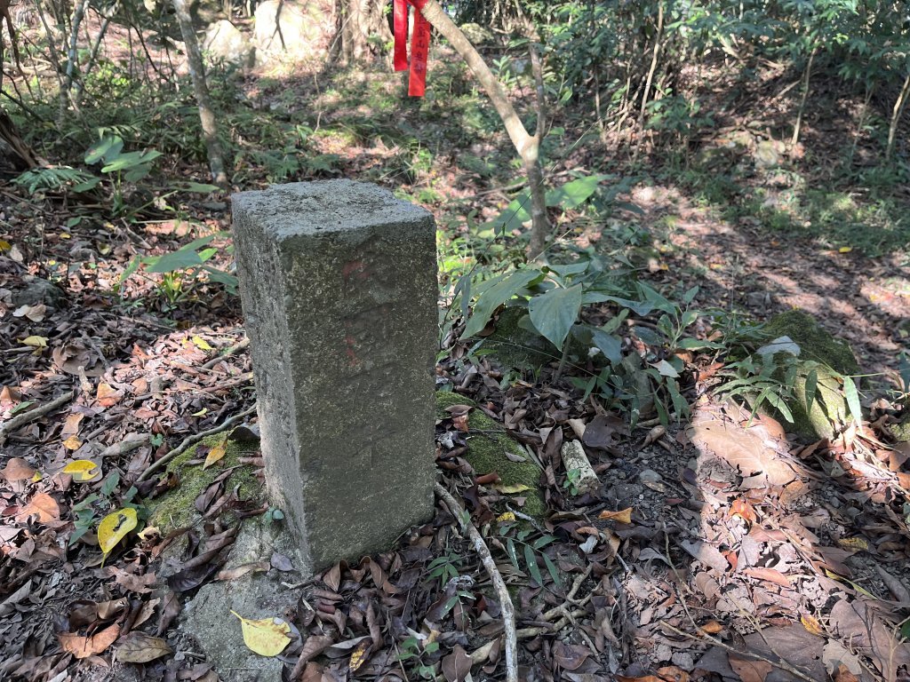 2023_1119 西阿里關山_2353892