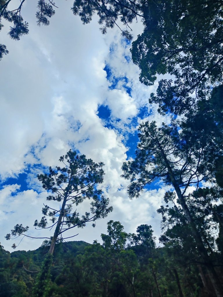 滿月圓_2964523