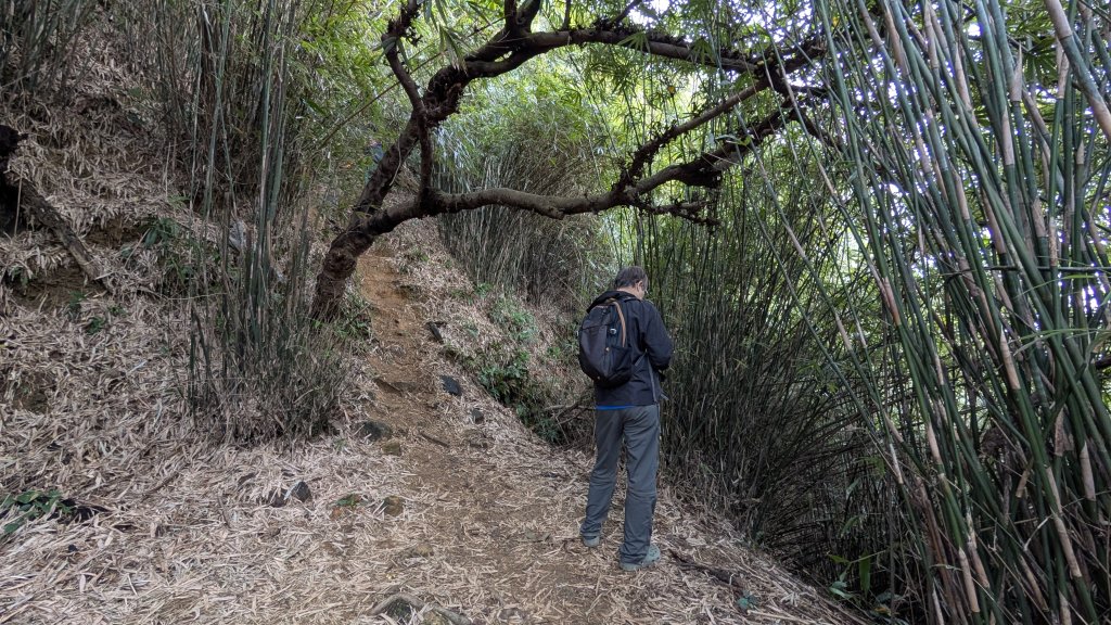 114.12.20劉銘傳隧道-獅球嶺北峰-獅球嶺東砲台山-獅球嶺池-獅球嶺砲台山之旅_2966731