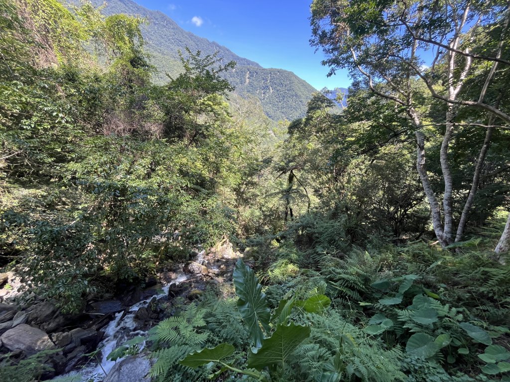 [玉山尋寶任務-03/12] 2025_0810 瓦拉米步道_2857656