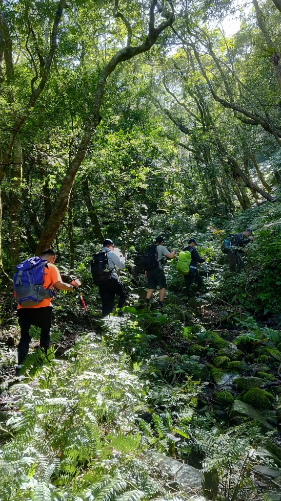 雲森瀑布 + 組合山 _490692