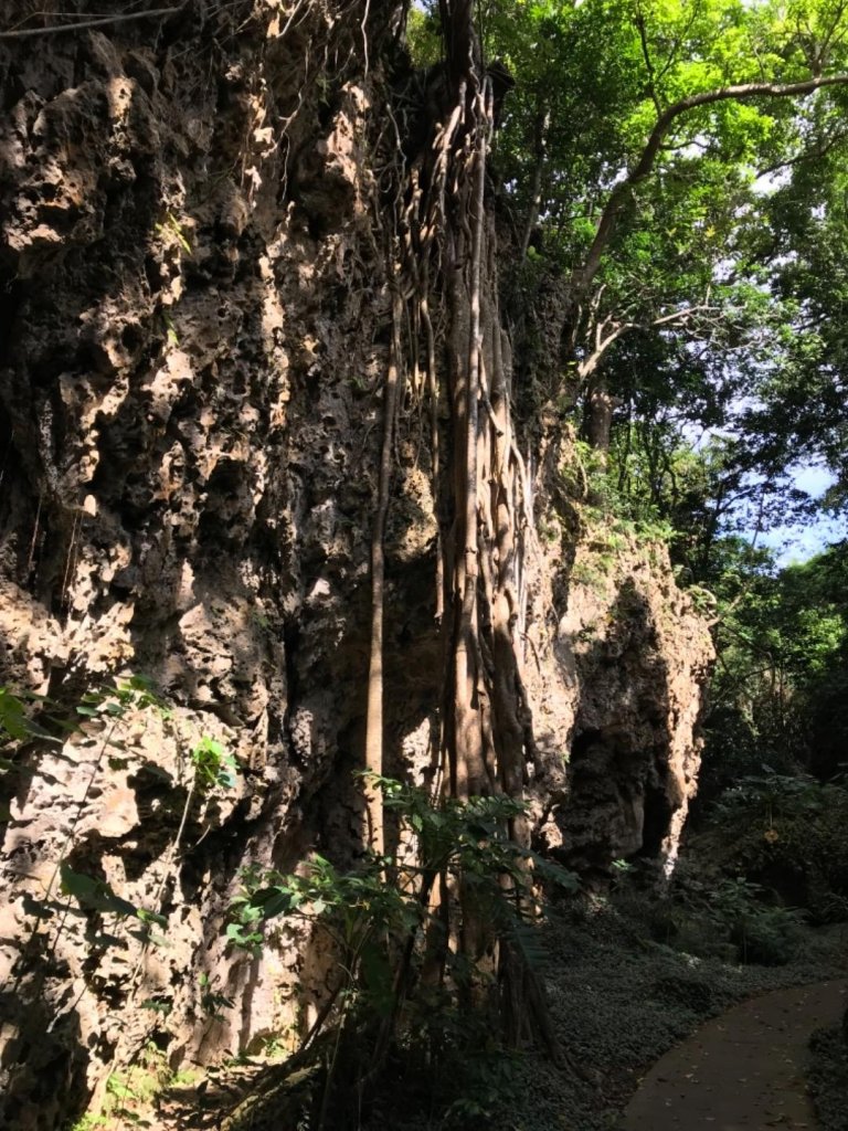 墾丁國家森林遊樂區步道群_639078