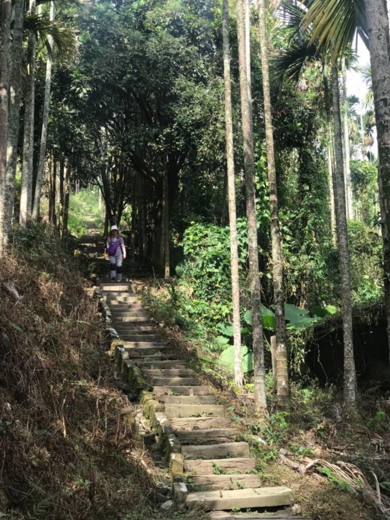 樟腦寮車站上獨立山奉天岩泡茶煮泡麵大巃頂看群峰美景_470039