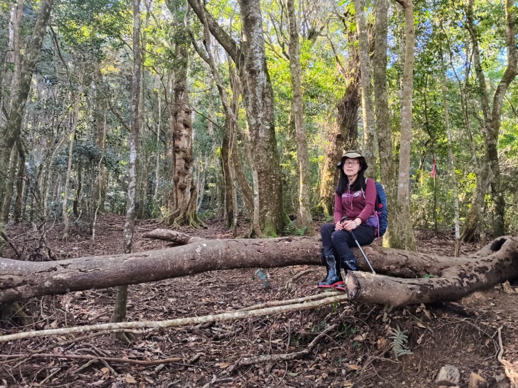 高島縱走20250215_2713761