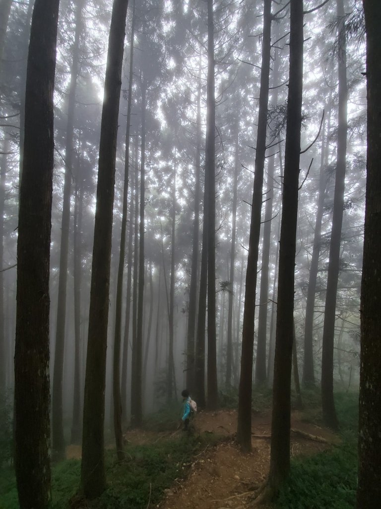 1100321阿興阿賢新竹油羅山_1412802