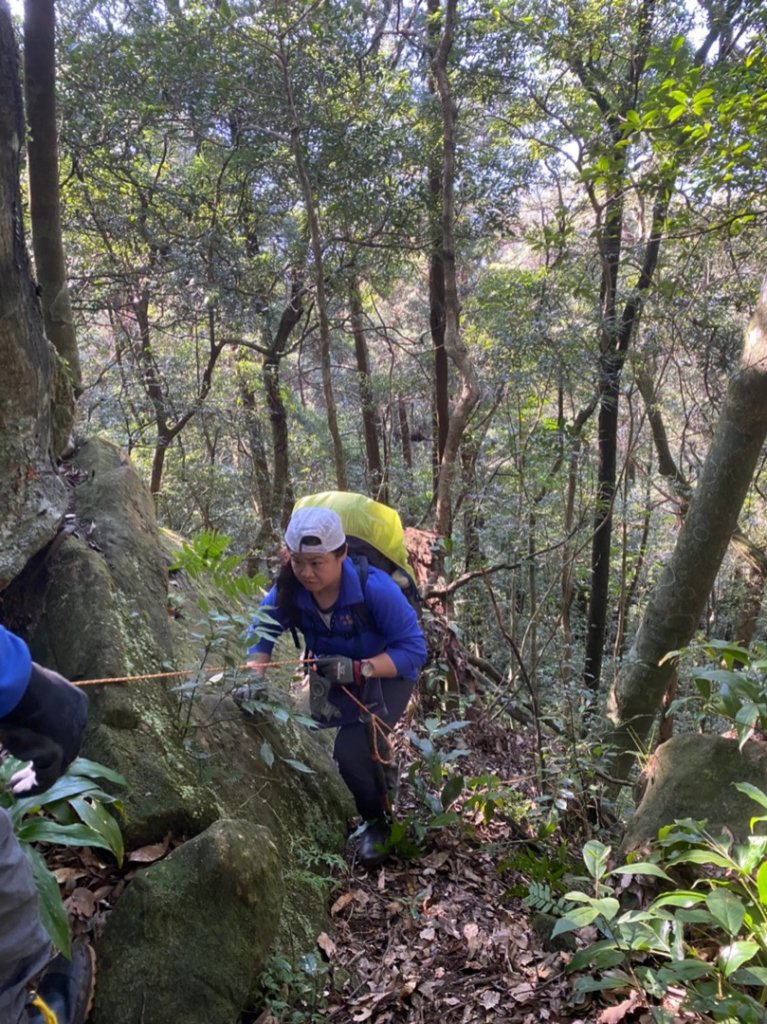 熊空叢穿_1276056