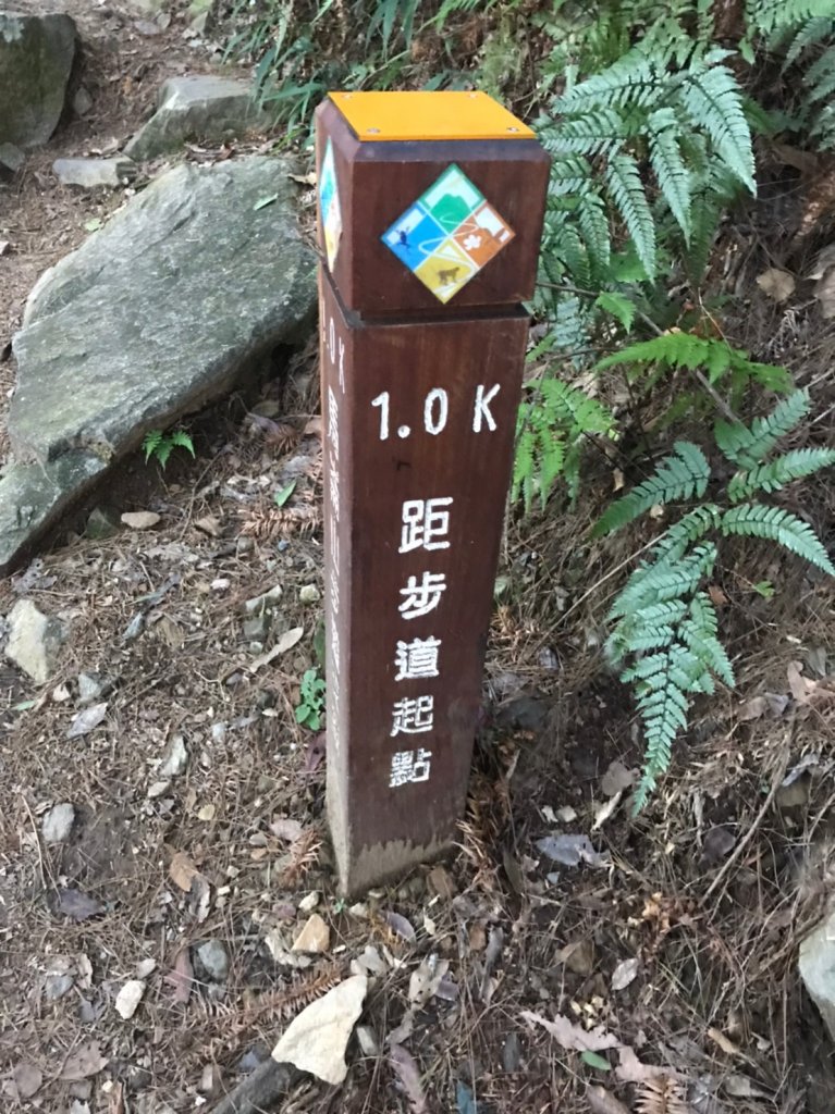 谷關七雄  老二  馬崙山  郊遊_1469050