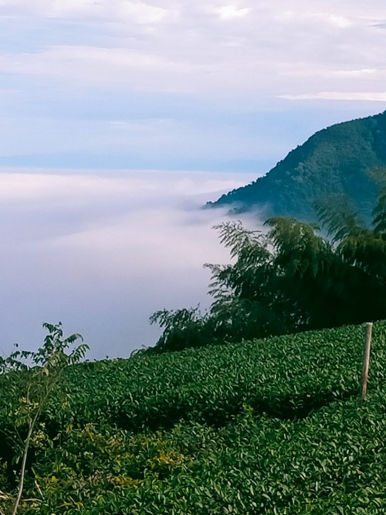 雲嘉連峰_2365672
