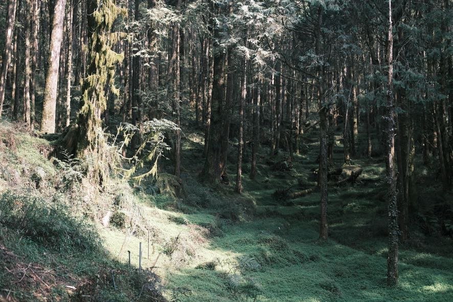 眠月線～年輕人爬山趣_2854757