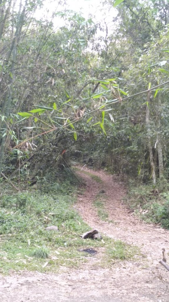 西阿里關山封面圖