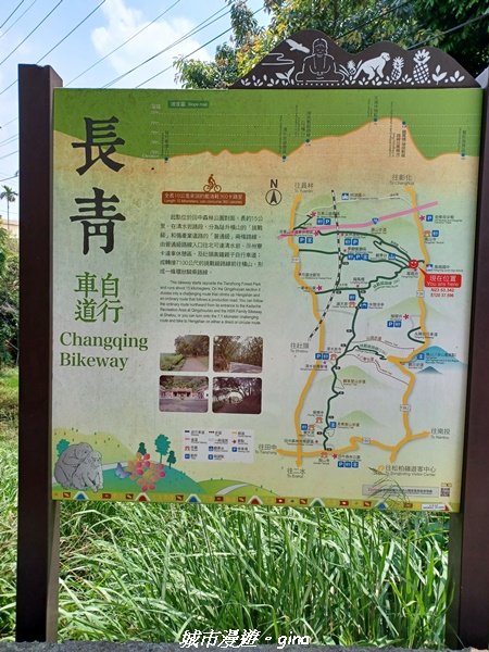 【彰化員林】員林百果山上最具人氣的休閒步道。 台灣百大必訪步道。 藤山步道_1689455