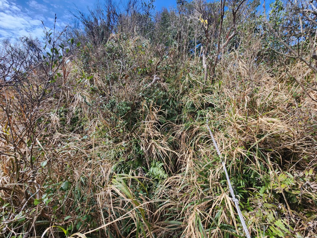 20250302樂佩山_2754738