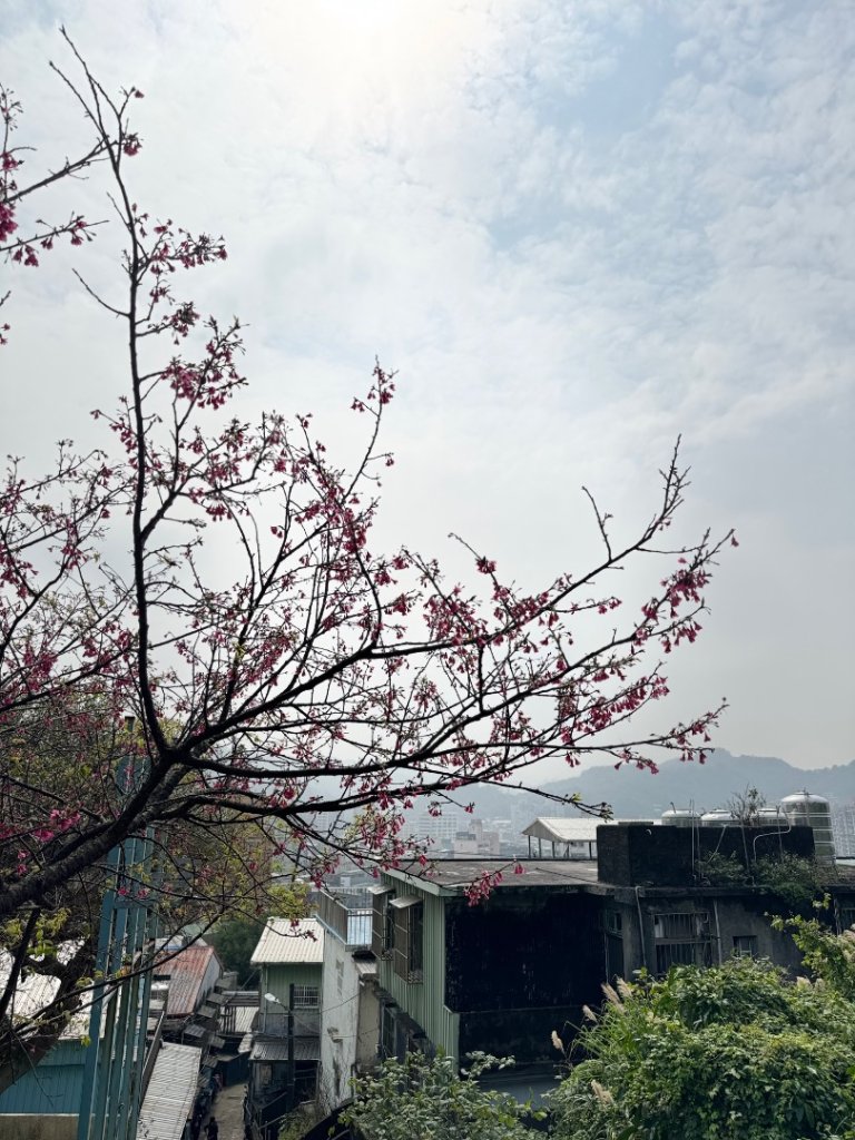 20250227基隆虎仔山封面圖