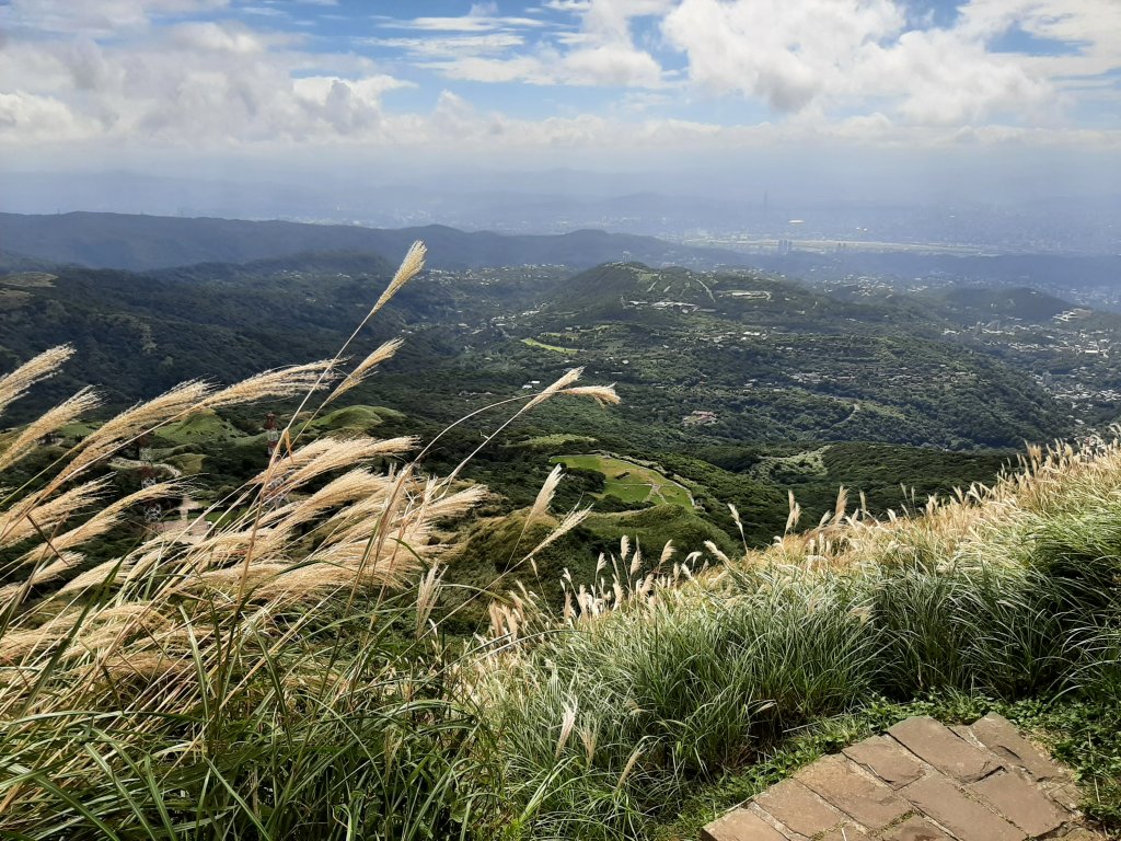 臺北大縱走3：小油坑至風櫃口_1493523