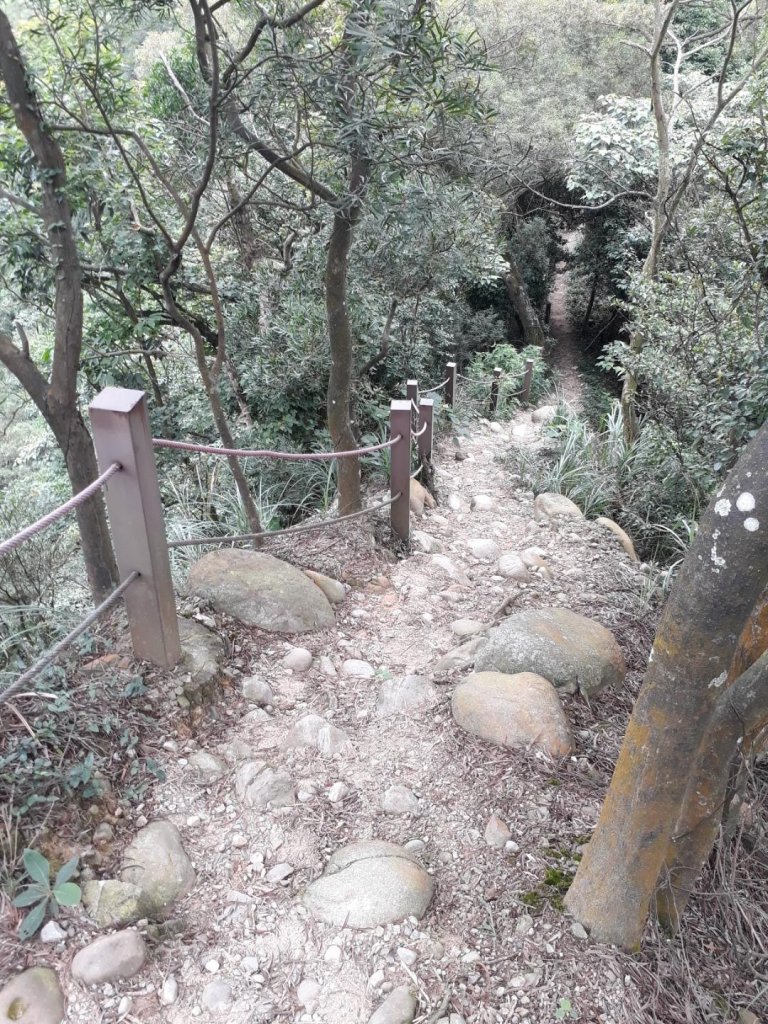 苗栗雙峰山主西北峰小O型20190526_592238