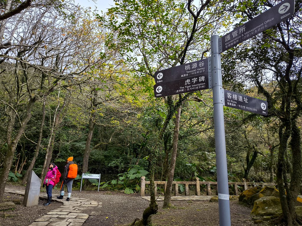 2025-01-19 大里天公廟~埡口_2695377