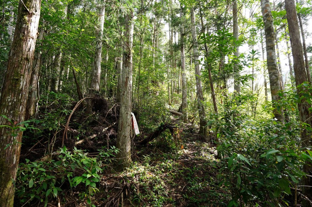 新北 烏來 卡拉莫基山_2832339