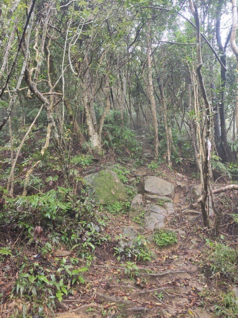 微笑山線：【五分山系】菁桐煤礦段_2954743