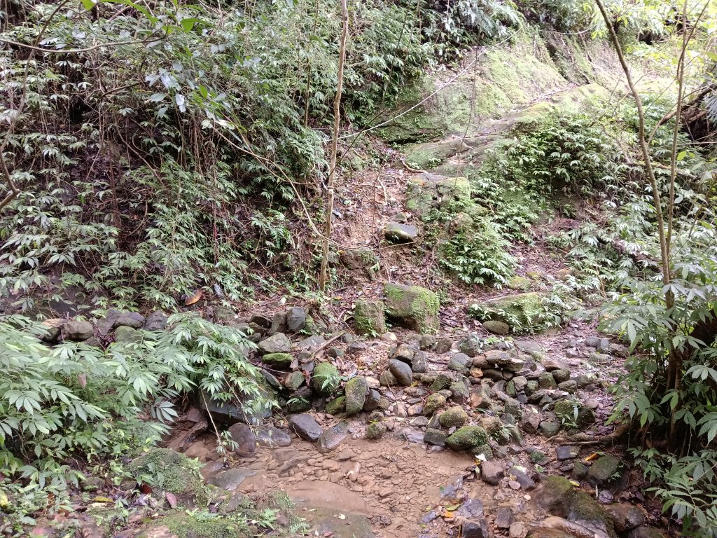 平溪區善覺寺步道+畝畝山北稜線+畝畝山+石硿子瀑布+灰窯瀑布O型_2940095