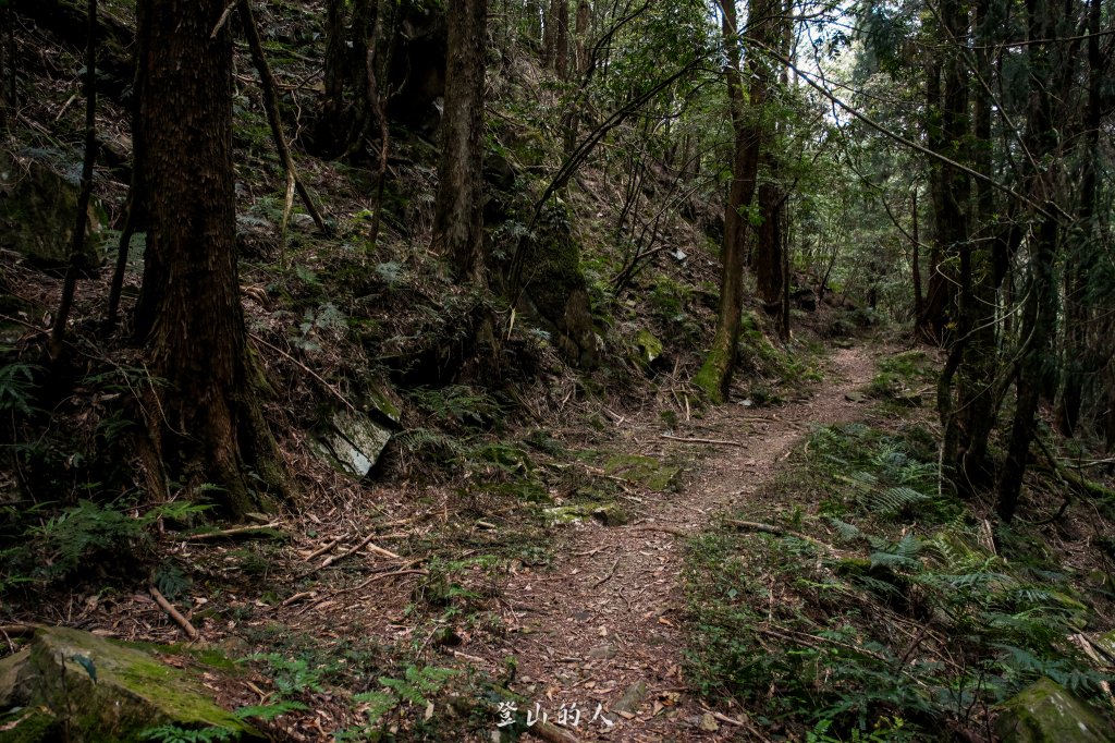 霞山鐵道野營_2843136