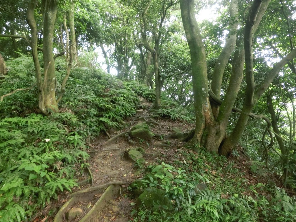 鳶山步道_589856