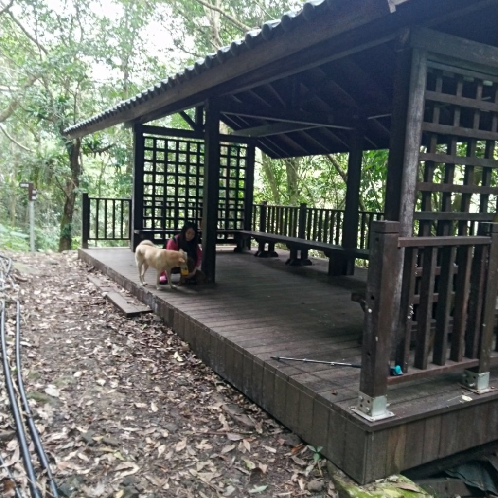 馬胎古道輕鬆雨鞋趴_805664