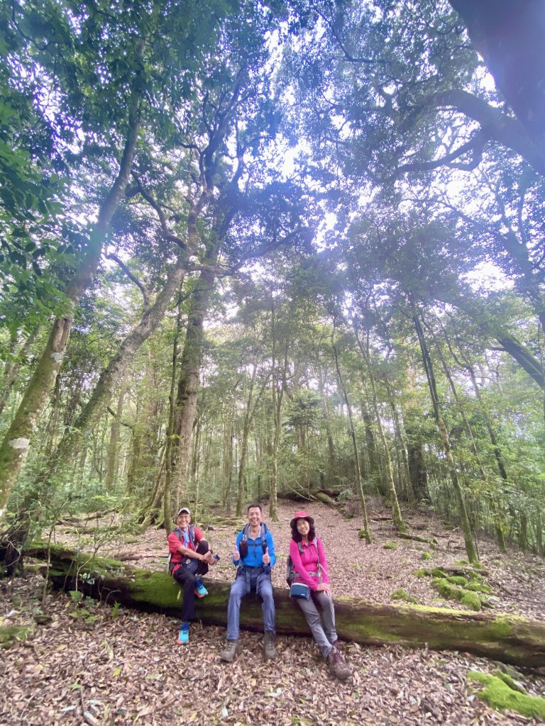 醜崠山納涼趣    2024/6/23_2534882