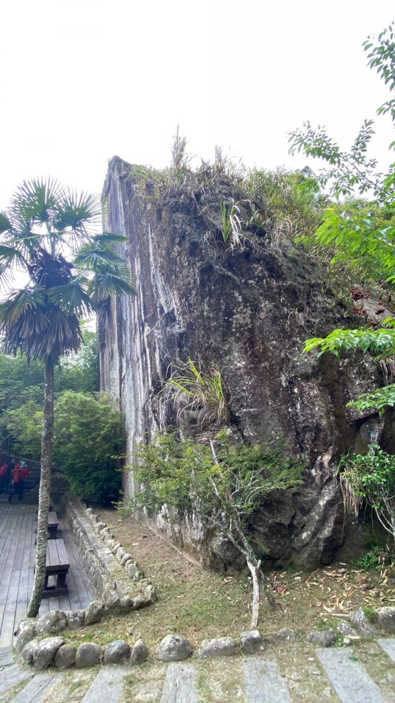 嘉義大凍山O型輕鬆走_1699125